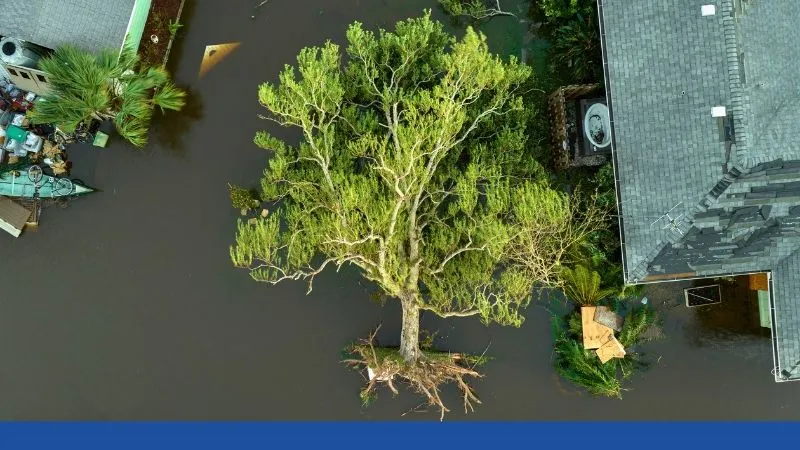 Flooding and Water Damage Solutions