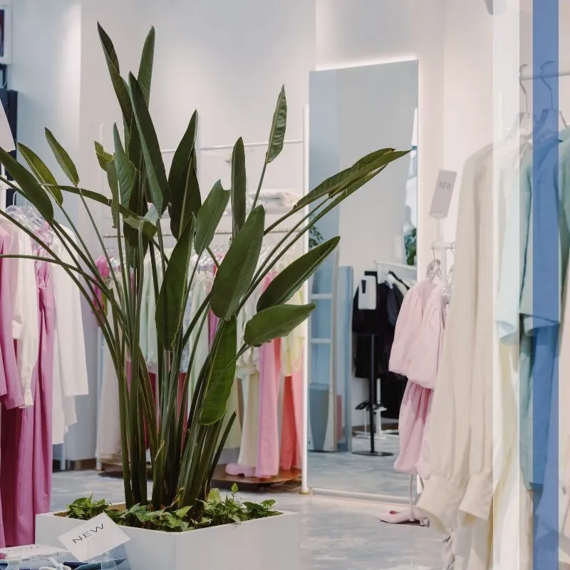 Owning a business in Naples