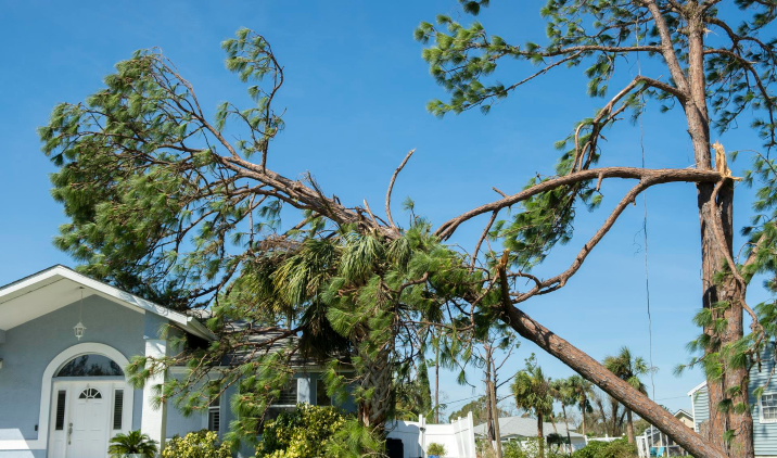 Wind Damage Restoration in Fort Myers Beach: What Homeowners Need to Know