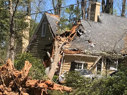 Who Offers Fast Storm Damage Restoration Services in Naples, FL?